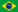 Portugués Brasileño